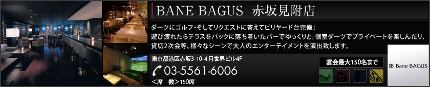 DARTS BAR BANE BAGUS ԍ〈X