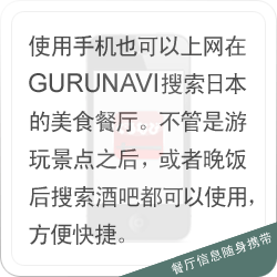 面向 手机用户以及旅行者