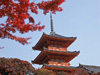 Food Culture in Kyoto