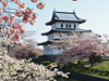 Food Culture in tokyo