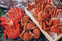 冬季的海鮮帝王－螃蟹－