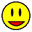 �V���b�v�K�C�h