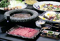 YUUZEN GRAVY-photo