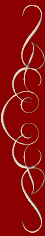 ���̃��C��