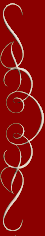 �E�̃��C��