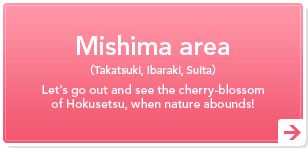 Mishima area（Takatsuki, Ibaraki, Suita）Let's go out and see the cherry-blossom of Hokusetsu, when nature abounds!