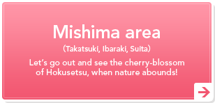Mishima area(Takatsuki, Ibaraki, Suita)Let's go out and see the cherry-blossom of Hokusetsu, when nature abounds! Mishima area(Takatsuki, Ibaraki, Suita)Let's go out and see the cherry-blossom of Hokusetsu, when nature abounds!