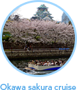 Okawa sakura cruise Okawa sakura cruise