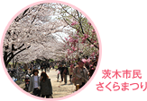 茨木市民さくらまつり