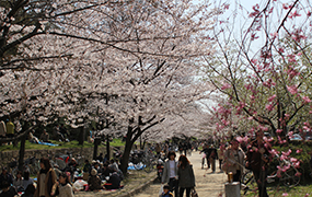 元茨木川緑地