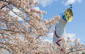 万博記念公園