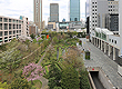 「梅田スカイビル」の足元に広がる日本の原風景「新・里山」