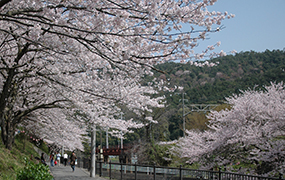 山中渓