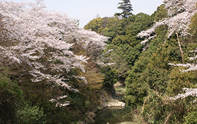 大井関公園