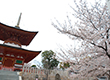 久米田寺