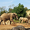 仙台市八木山動物公園